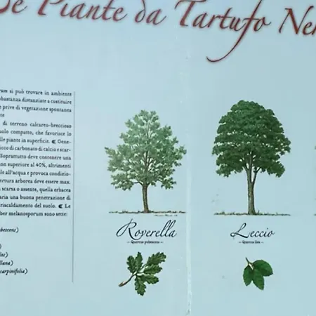 Roero 3 Alba (Piedmont)